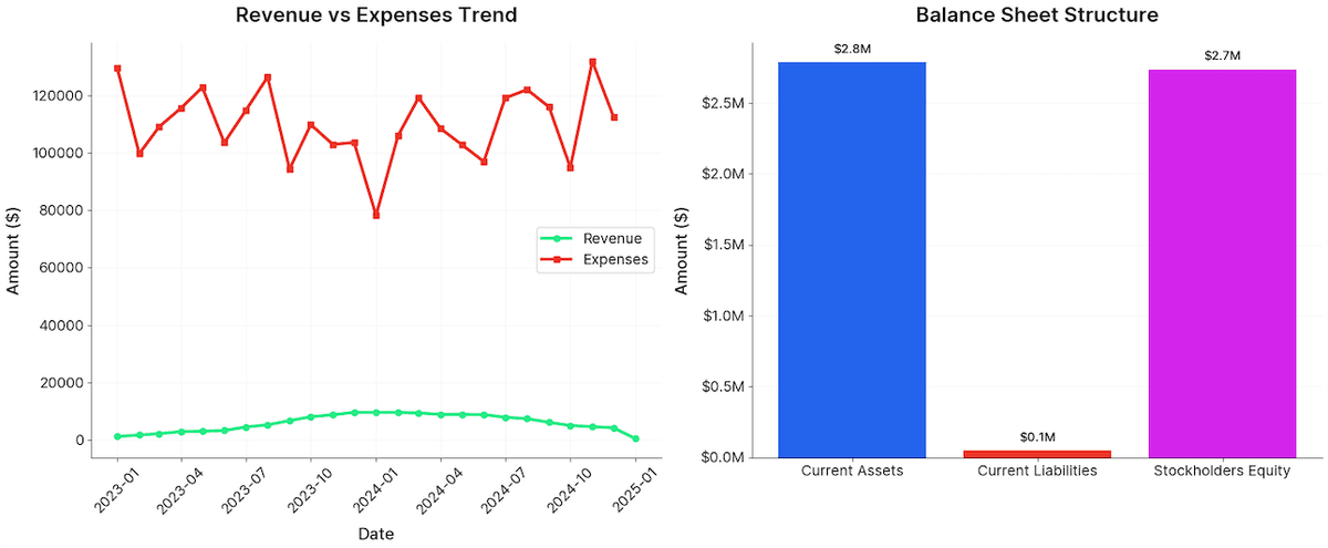 Balance sheet creation for a SaaS company